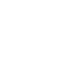 Wealth City Records
